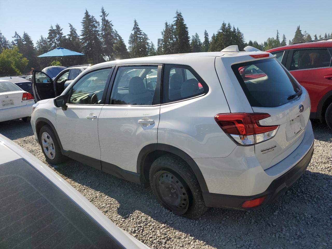 JF2SKAAC2KH482669 2019 Subaru Forester