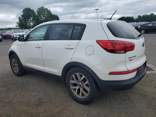 2014 Kia Sportage Lx VIN: KNDPBCAC8E7559622 Lot: 57483224