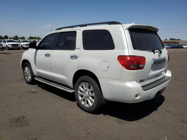 2010 Toyota Sequoia Platinum VIN: 5TDDW5G14AS030208 Lot: 59358854