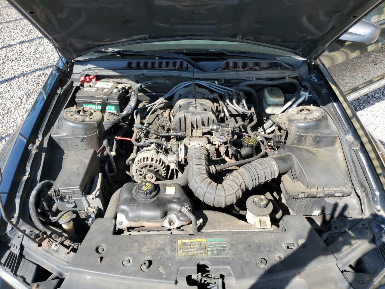 1ZVFT80N565140193 2006 Ford Mustang