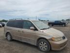 Lot #2872048191 2002 HONDA ODYSSEY EX