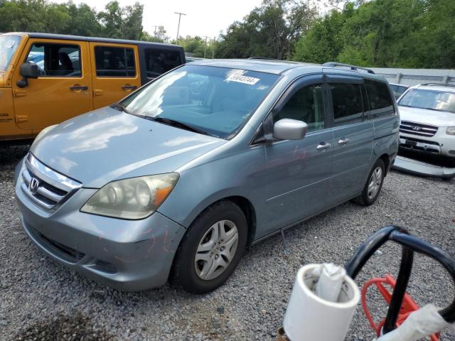 2005 Honda Odyssey Exl VIN: 5FNRL38605B061804 Lot: 59043744