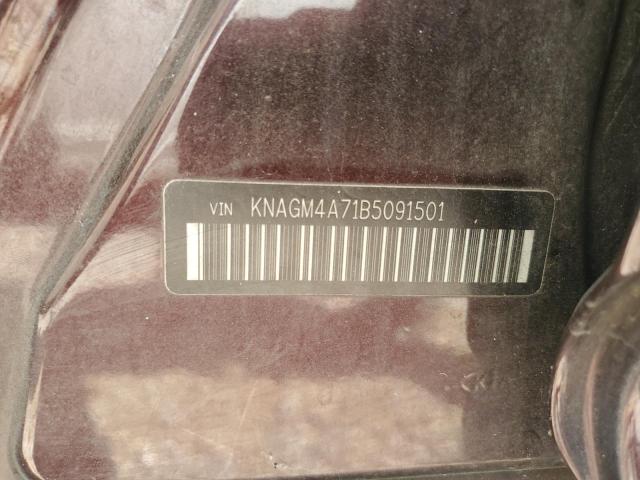 2011 Kia Optima Lx VIN: KNAGM4A71B5091501 Lot: 56336224