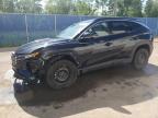 2024 HYUNDAI TUCSON SEL - KM8JCCDE6RU315566