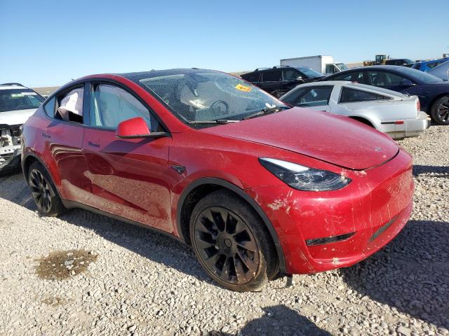 2023 TESLA MODEL Y - 7SAYGDEE6PF877777