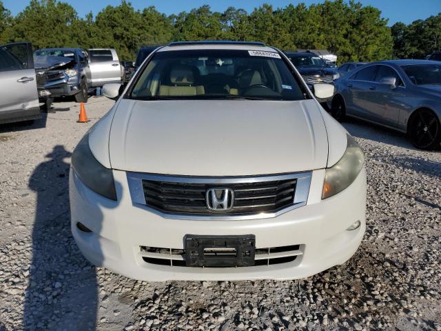 1HGCP368X8A067333 2008 Honda Accord Exl