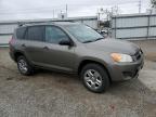 TOYOTA RAV4 photo