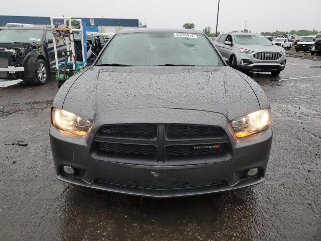 2014 Dodge Charger R/T VIN: 2C3CDXDT2EH248689 Lot: 60285914