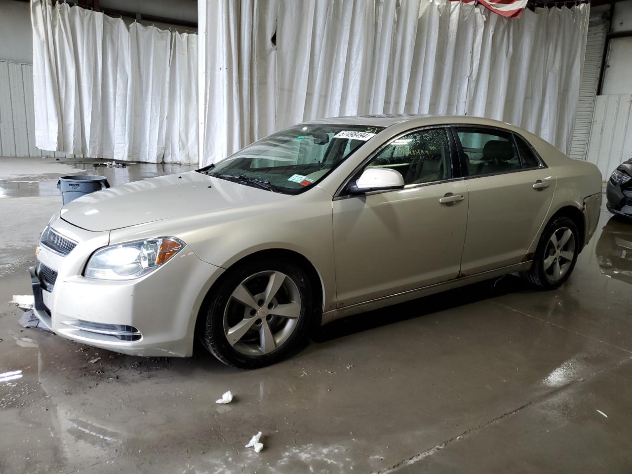 1G1ZJ57B79F122236 2009 Chevrolet Malibu 2Lt