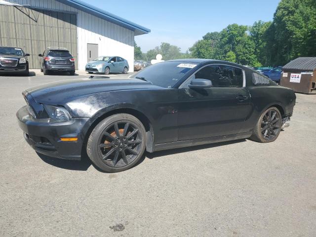 2014 Ford Mustang VIN: 1ZVBP8AM5E5276282 Lot: 57697904