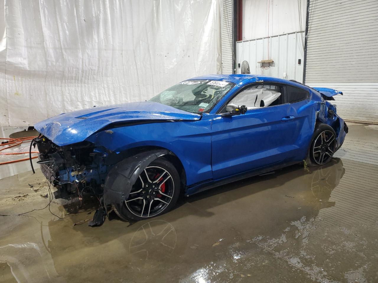 2019 Ford Mustang vin: 1FA6P8TH9K5198918