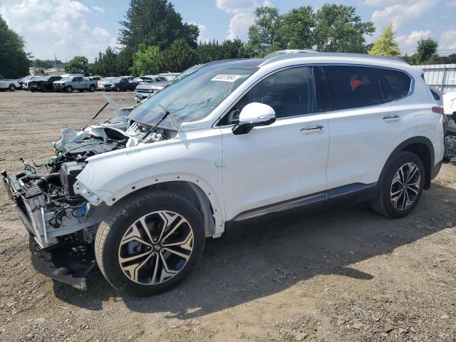 2020 Hyundai Santa Fe Limited VIN: 5NMS53AA2LH289650 Lot: 60837984