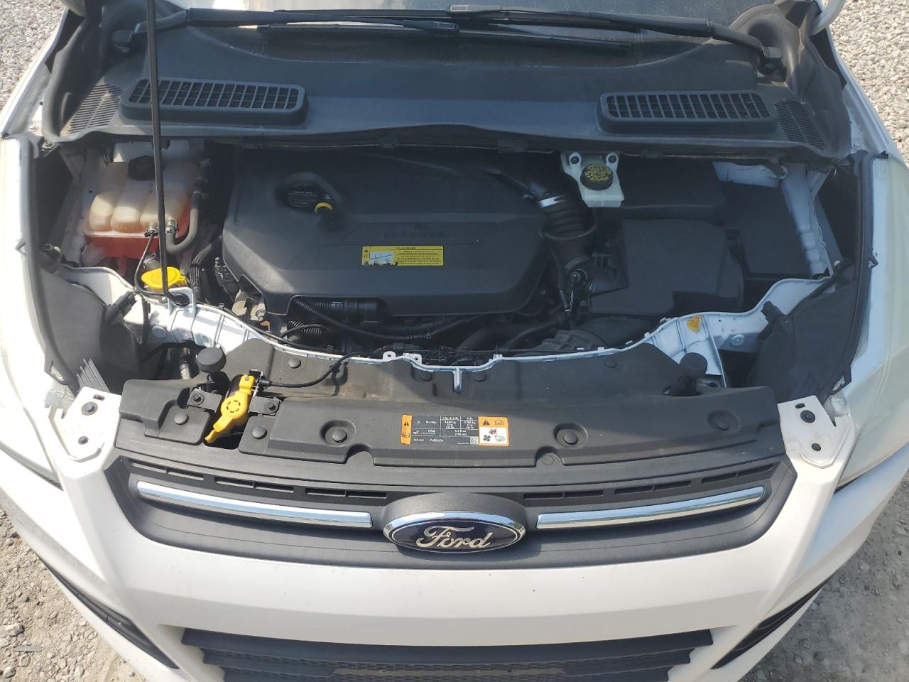 2014 Ford Escape Se vin: 1FMCU0GXXEUB83259