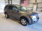 FORD ESCAPE XLT photo