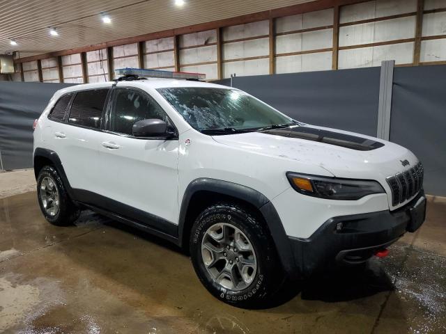 2019 Jeep Cherokee Trailhawk VIN: 1C4PJMBX6KD441558 Lot: 60144414