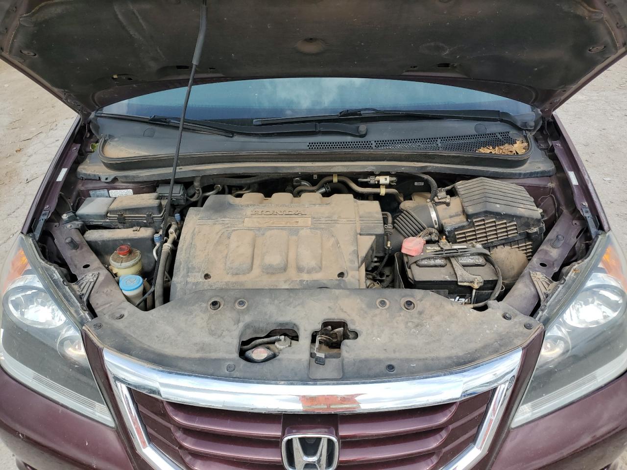 5FNRL3H66AB106089 2010 Honda Odyssey Exl