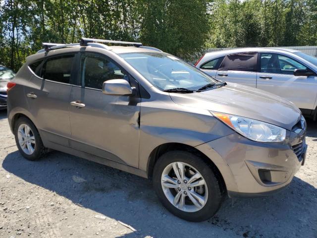 2010 Hyundai Tucson Gls VIN: KM8JUCAC2AU021411 Lot: 58695994