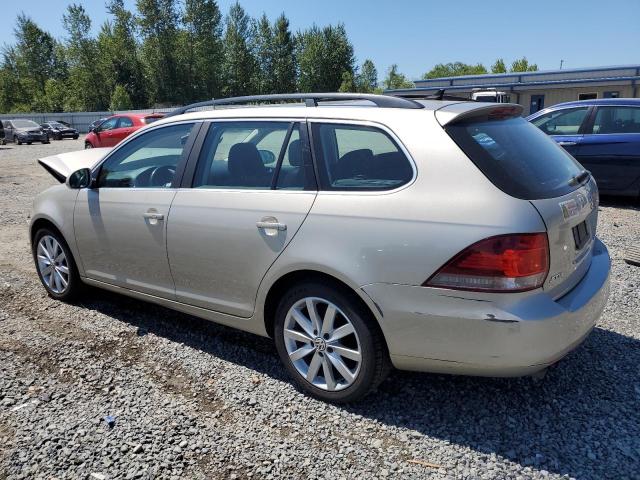 2013 Volkswagen Jetta Tdi VIN: 3VWPL7AJ9DM693737 Lot: 59801714