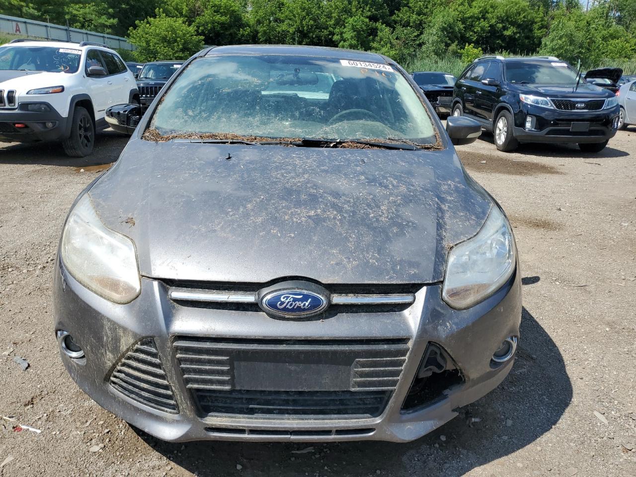 2014 Ford Focus Se vin: 1FADP3K22EL129835