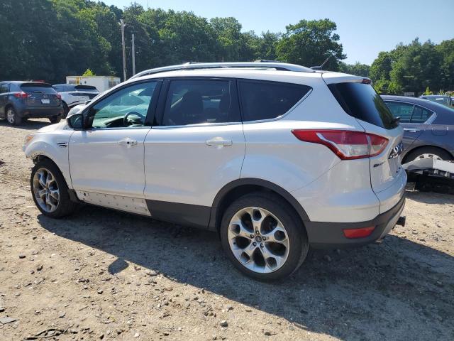 2014 Ford Escape Titanium VIN: 1FMCU9J95EUB52113 Lot: 58833774