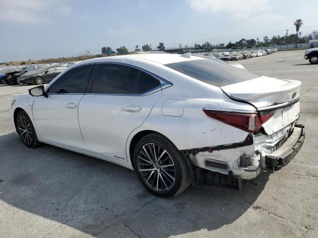 58ADA1C17NU017391 2024 LEXUS ES - Image 2