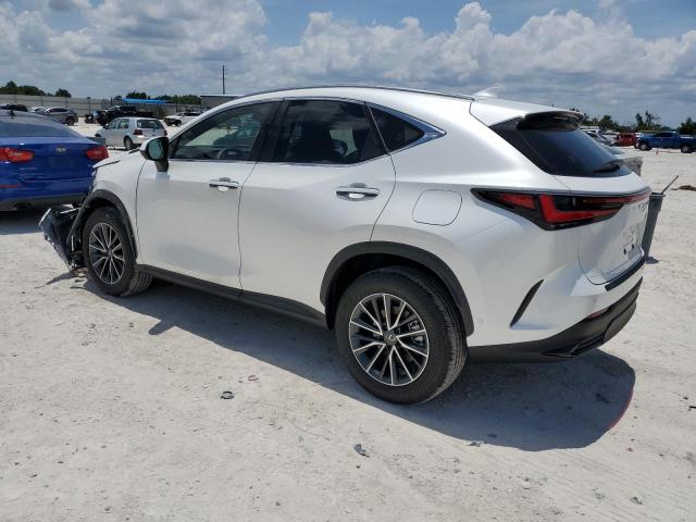 JTJHKCEZ7R2032805 2024 LEXUS NX - Image 2