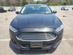 FORD FUSION SE photo