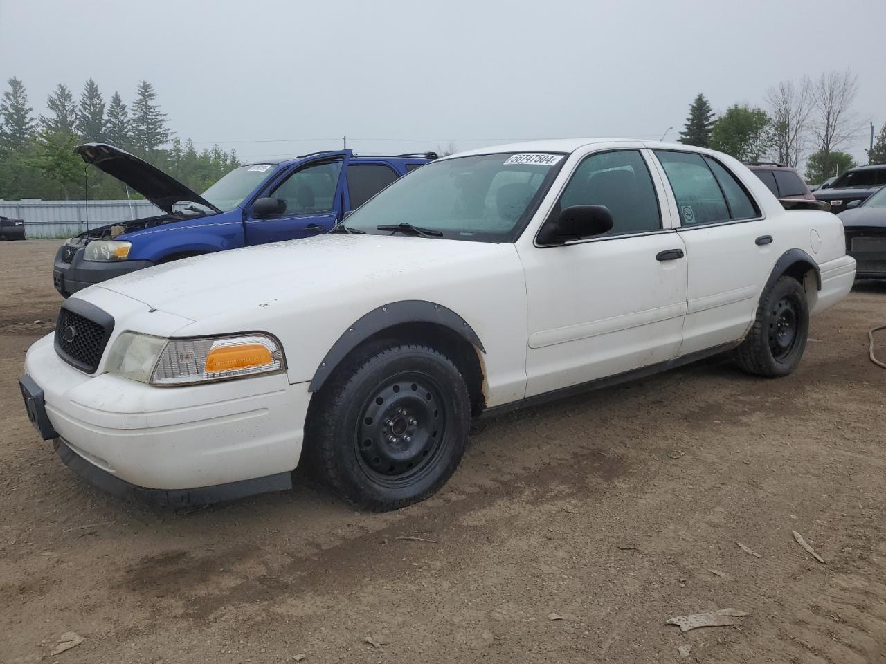 2FABP7BV4BX130847 2011 Ford Crown Victoria Police Interceptor