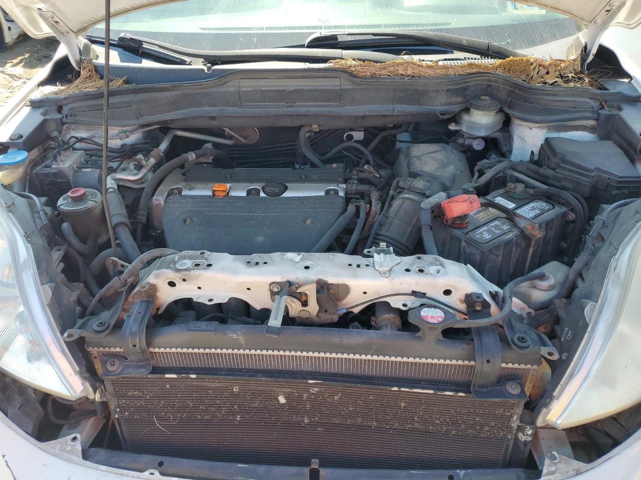 JHLRE48587C077565 2007 Honda Cr-V Ex