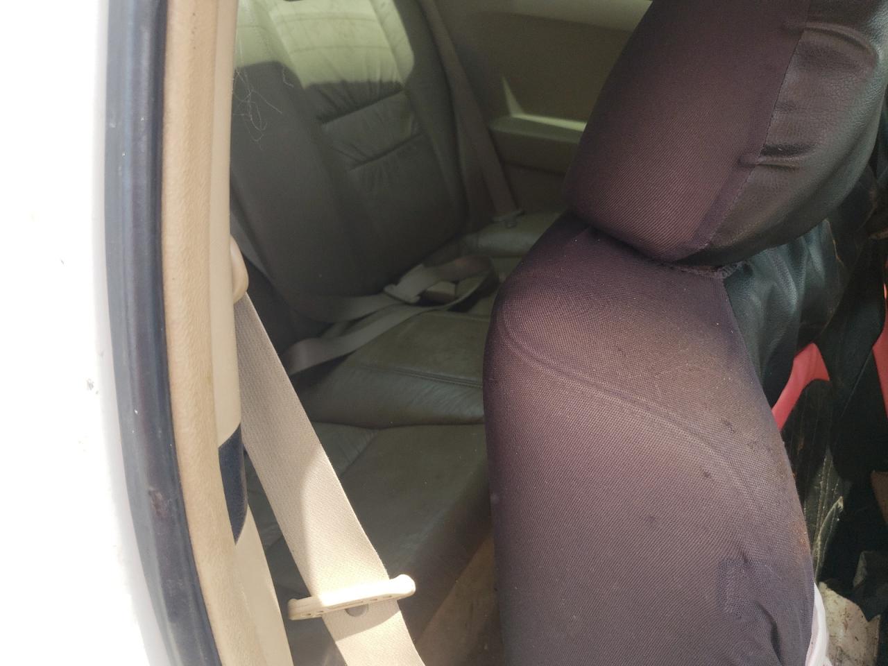 1HGCM72695A003509 2005 Honda Accord Ex