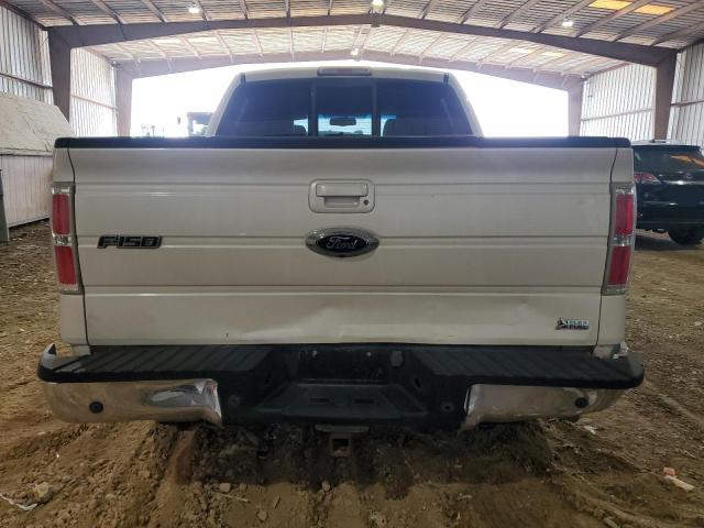 2010 Ford F150 Supercrew VIN: 1FTFW1CV8AKA32707 Lot: 56945734