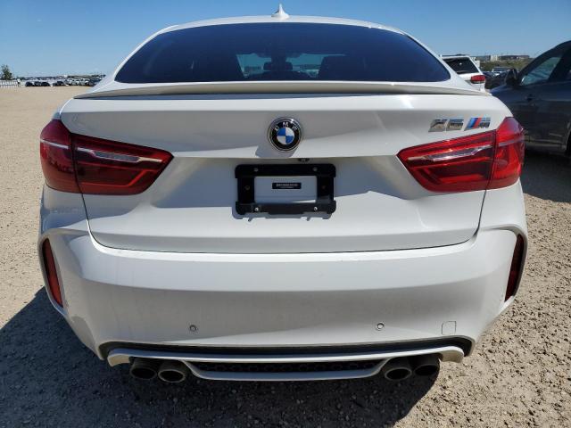 2016 BMW X6 M VIN: 5YMKW8C53G0R43501 Lot: 58137044