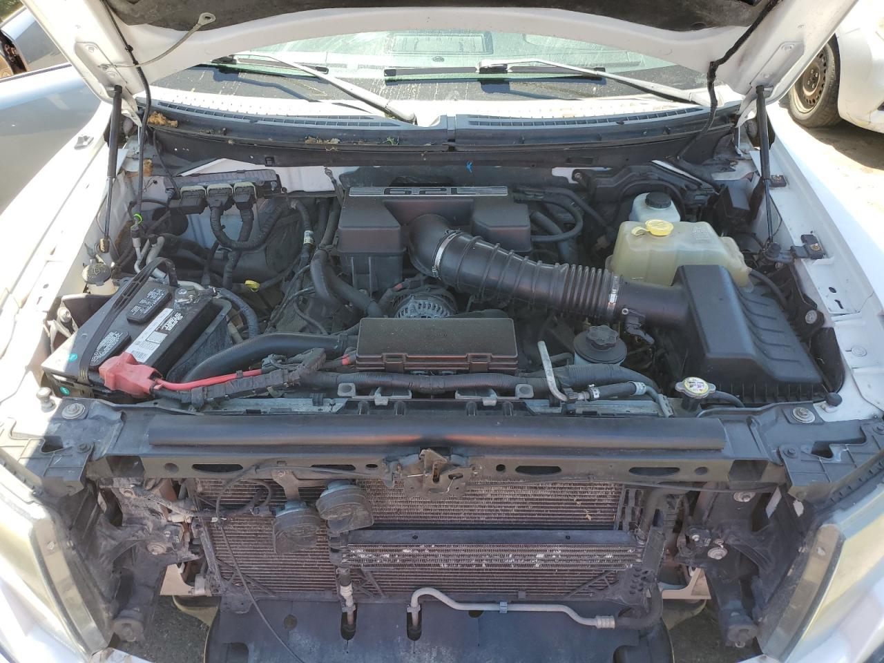 1FTFW1R67DFB82143 2013 Ford F150 Svt Raptor