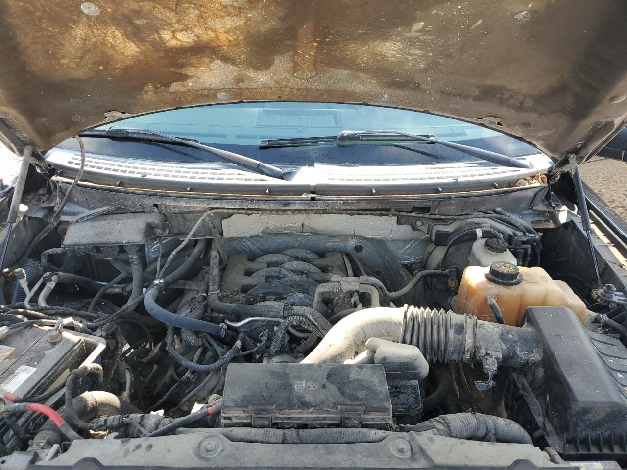 1FTFW1EF8BFB46240 2011 Ford F150 Supercrew