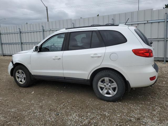 2009 Hyundai Santa Fe Gls VIN: 5NMSG13D99H256692 Lot: 58819464