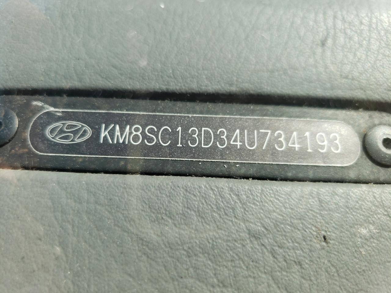 KM8SC13D34U734193 2004 Hyundai Santa Fe Gls