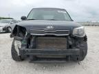 KIA SOUL + photo