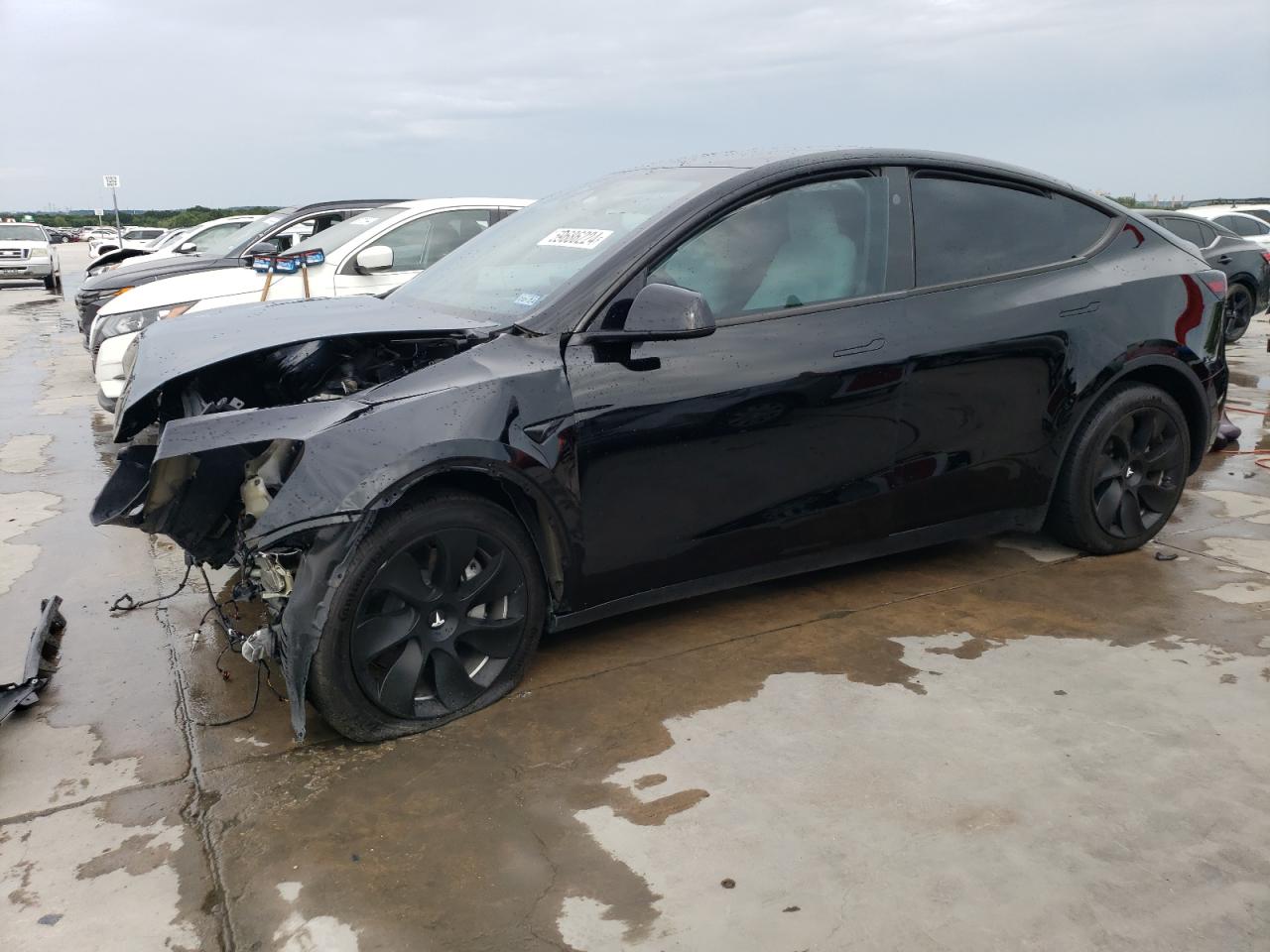 Lot #2718483550 2023 TESLA MODEL Y