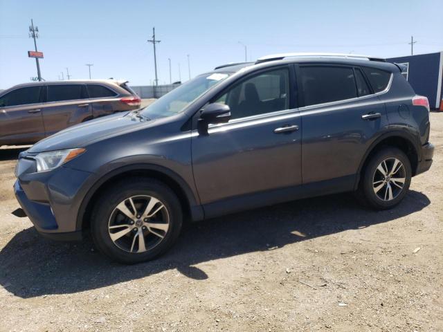 2017 Toyota Rav4 Xle VIN: JTMRFREV7HD203437 Lot: 57813034