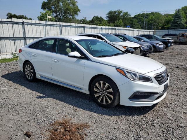 2017 Hyundai Sonata Sport VIN: 5NPE34AF9HH481579 Lot: 59150714