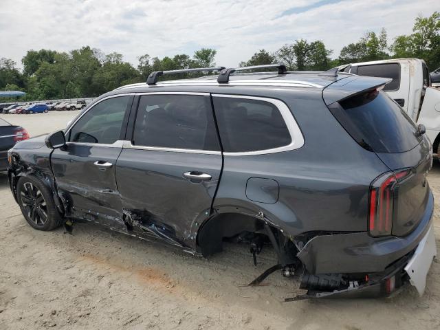 2024 Kia Telluride Sx VIN: 5XYP5DGC6RG514112 Lot: 61173044