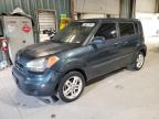 KIA SOUL + photo