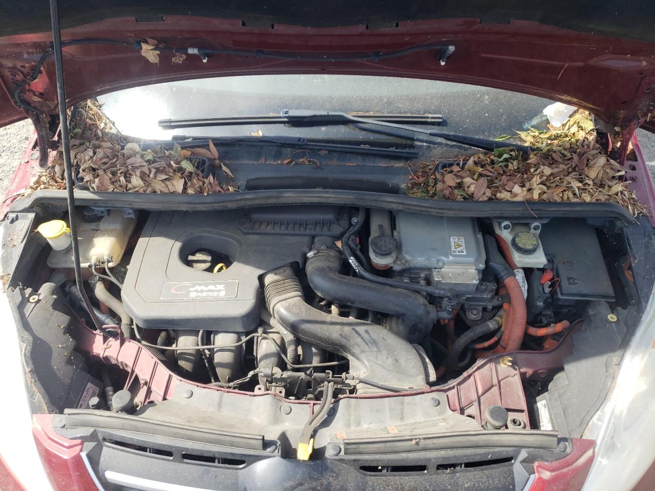 1FADP5CU7DL542179 2013 Ford C-Max Premium