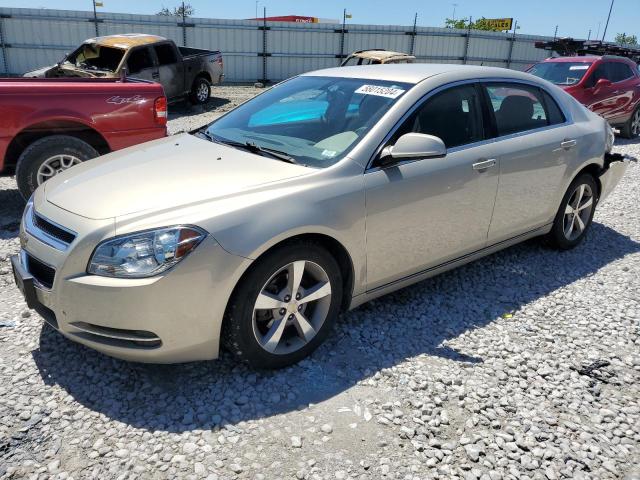 Vin: 1g1zc5e1xbf330220, lot: 58015204, chevrolet malibu 1lt 2011 img_1