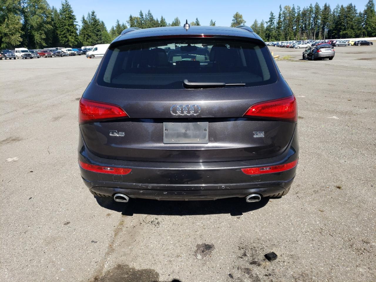 WA1CMAFP6EA124667 2014 Audi Q5 Tdi Premium Plus