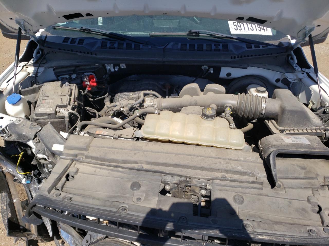 1FTMF1CB7KKD34455 2019 Ford F150