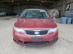 KIA FORTE EX photo