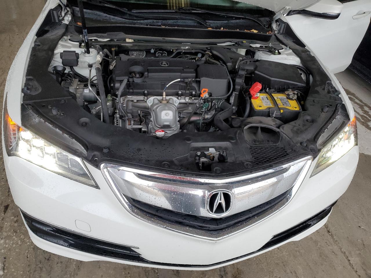 19UUB1F34HA006443 2017 Acura Tlx