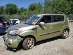 KIA SOUL + photo