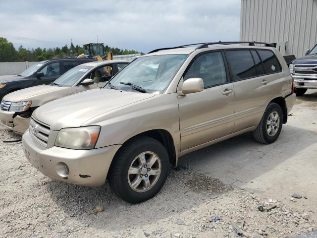 2004 Toyota Highlander Base VIN: JTEGP21AX40020805 Lot: 58510794